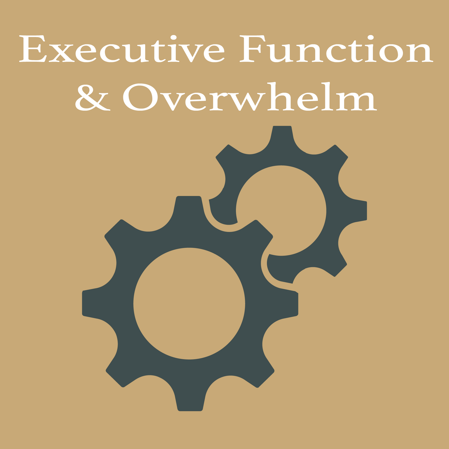 Executive Function & Overwhelm