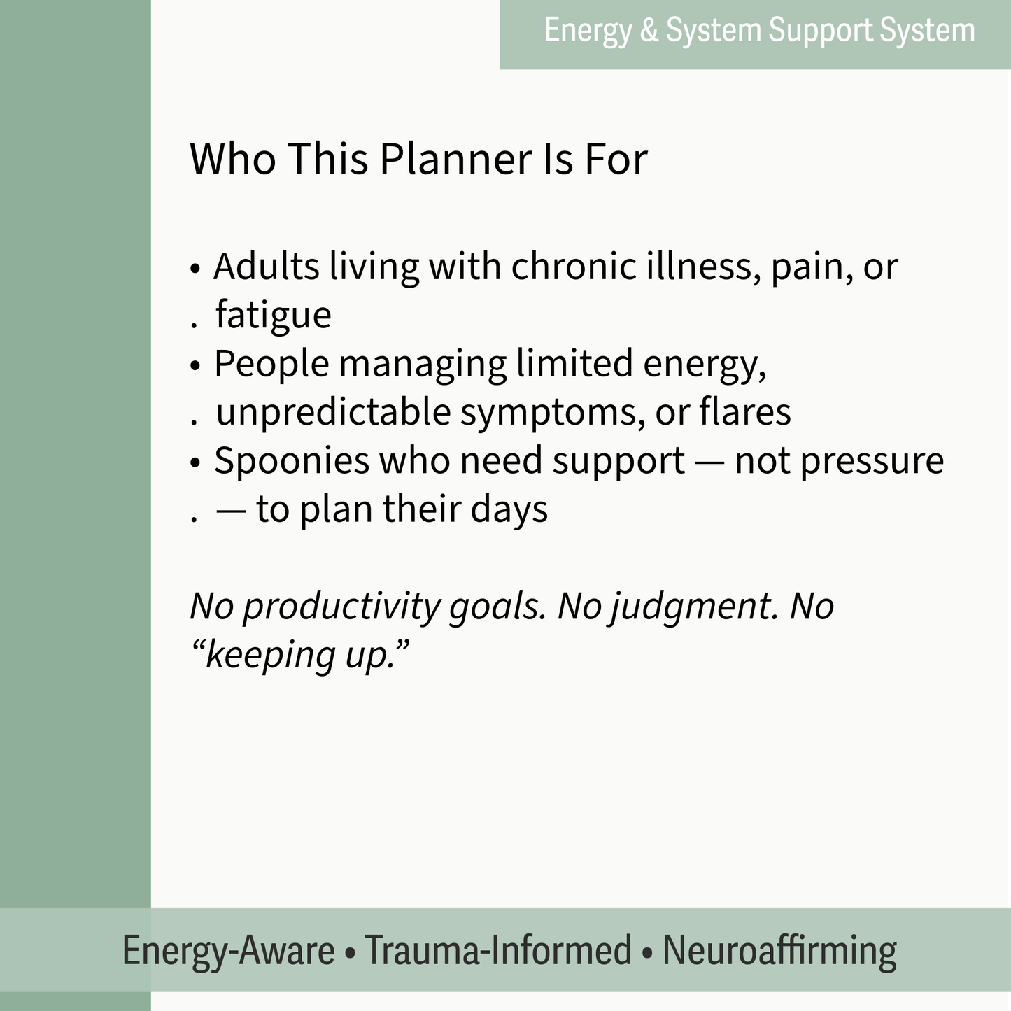 Text describing the target audience for a planner, with a green sidebar on a white background.