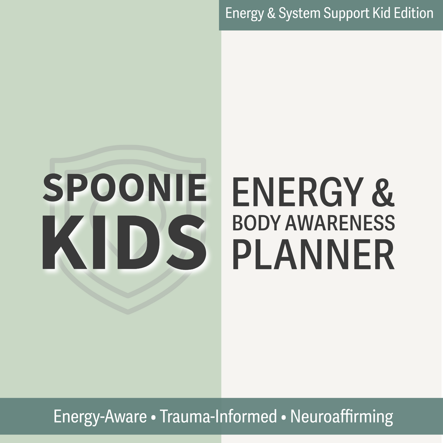 Spoonie Kids: An Energy - Body Awareness Planner