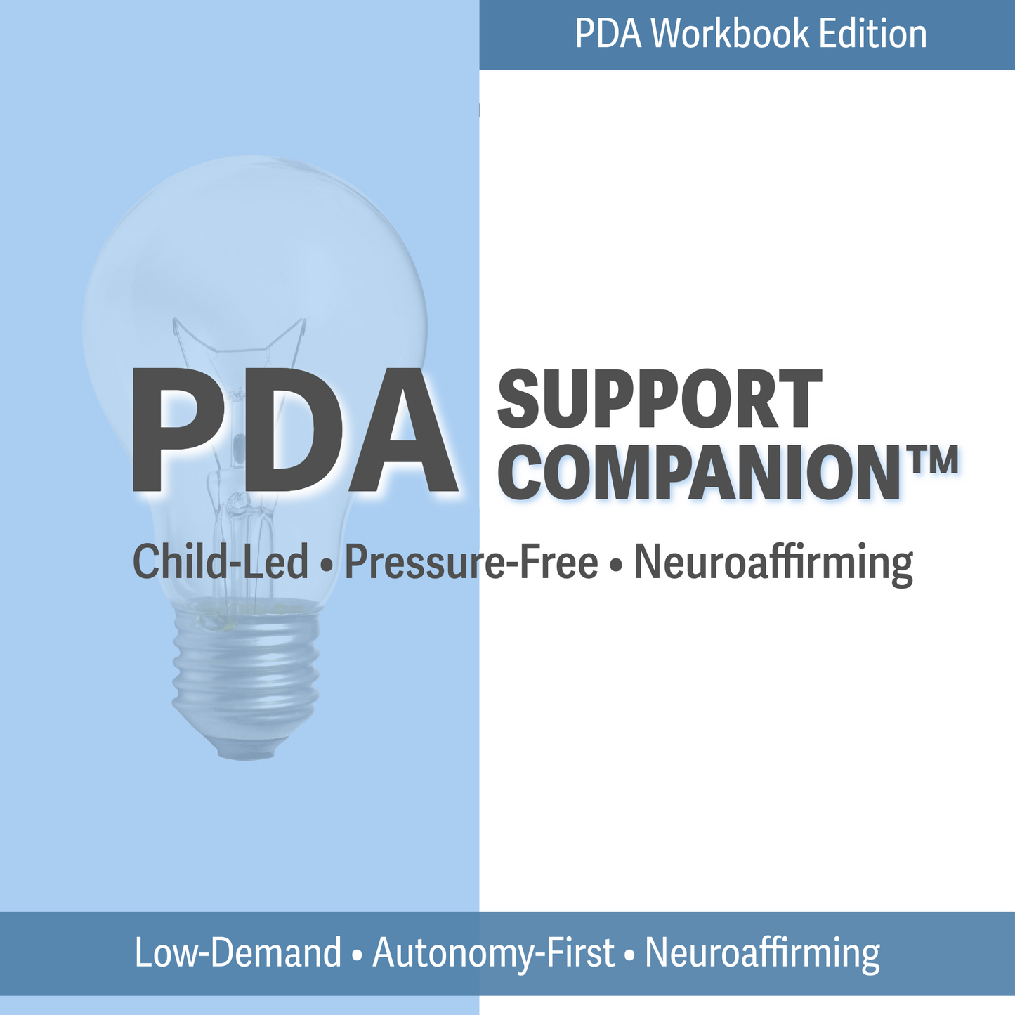 PDA Support Companion Workbook
