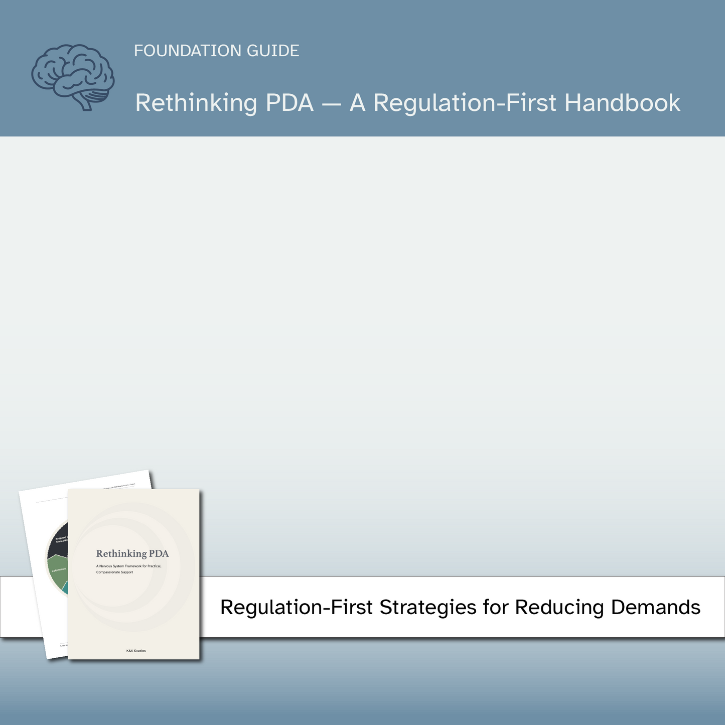 Rethinking PDA —  Regulation-First Framework