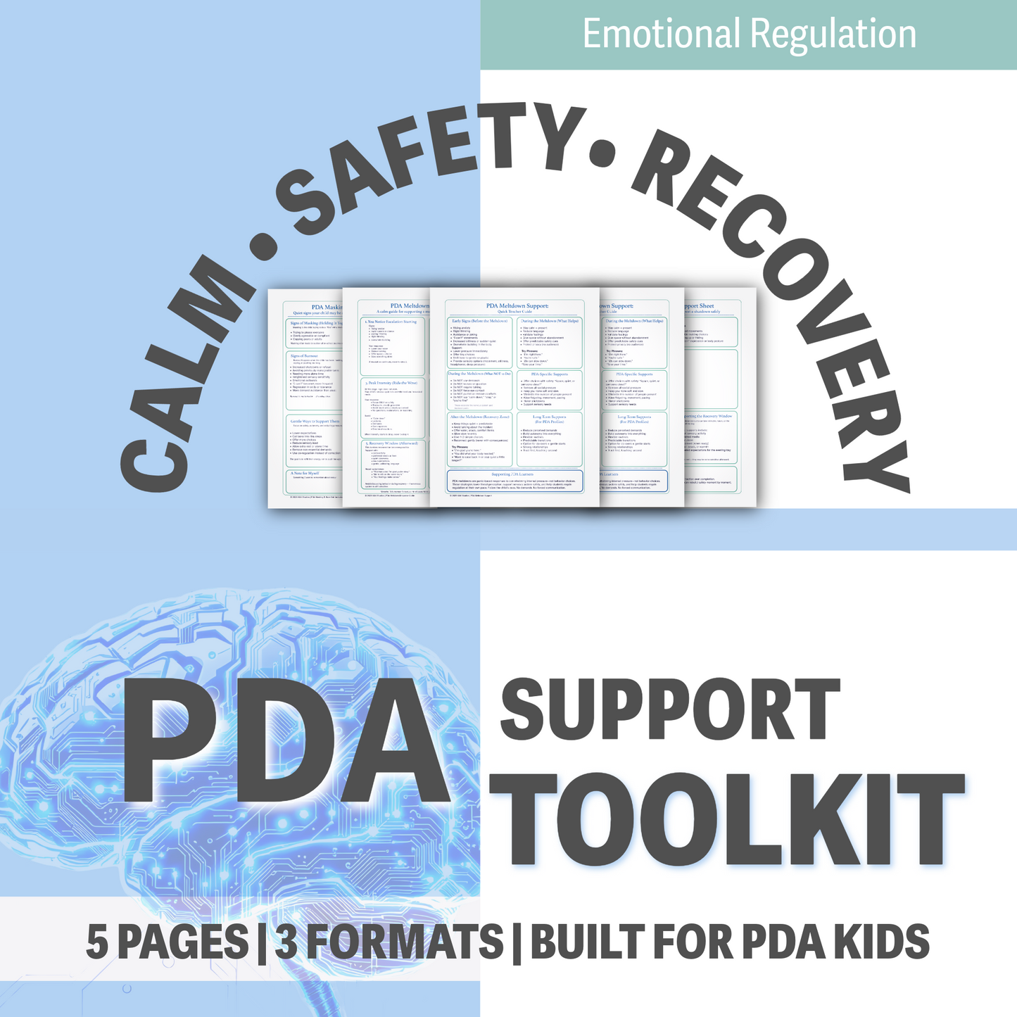 PDA Emotional Regulation & Burnout Toolkit