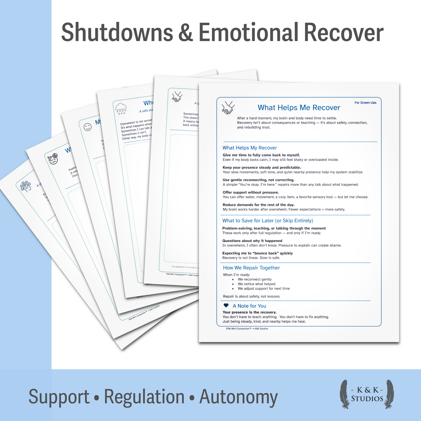 PDA Support Companion Workbook